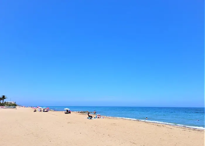 Flor De Neu 德尼亚