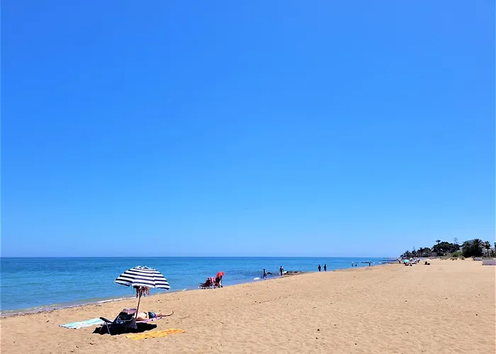 Flor De Neu 德尼亚