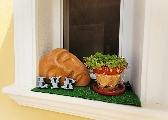 度假居 Flor De Neu *