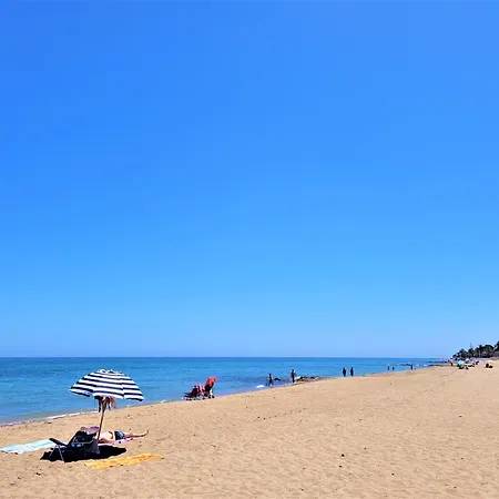 Flor De Neu デニア