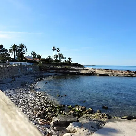 Flor De Neu デニア